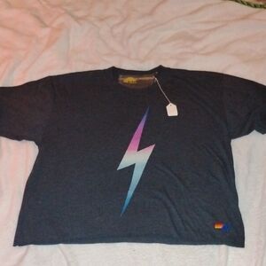 Aviator Nation 💞💯 Pink Rainbow Lightning Bolt  Boyfriend Tee sz L Charcoal